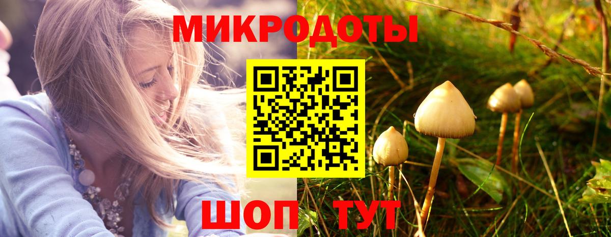 Богородск  Галлюциногенные грибы MAGIC MUSHROOMS  где можно купить   Вход с VPN 