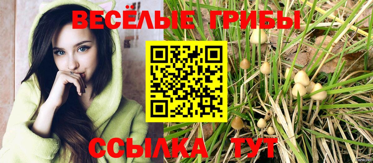 Галлюциногенные грибы мицелий Богородск